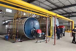 寶龍藥業10噸和4噸燃氣蒸汽鍋爐運行案例